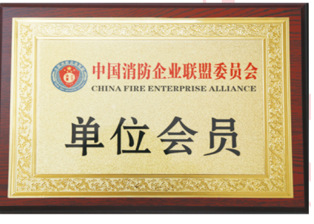 Member of Fire Protection Association